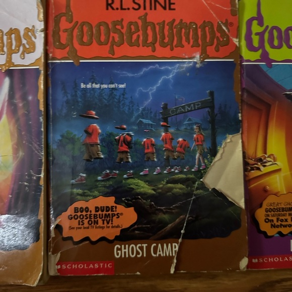 RL Stine, goosebumps books lot of 10 ￼ - Picture 9 of 13